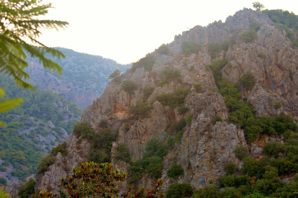 Çıralı Safir Pansiyon المظهر الخارجي الصورة