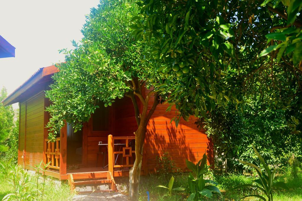 Çıralı Safir Pansiyon المظهر الخارجي الصورة