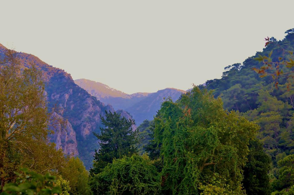 Çıralı Safir Pansiyon المظهر الخارجي الصورة